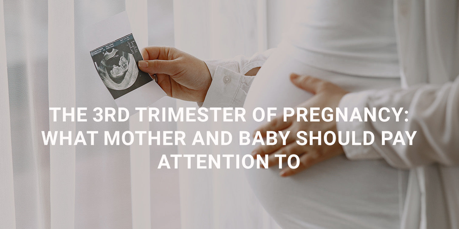 The 3rd Trimester of Pregnancy: What Mother and Baby Should Pay Attention To