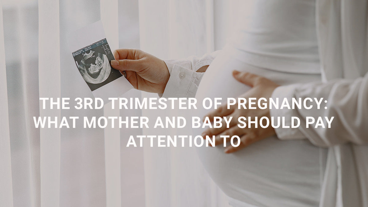 The 3rd Trimester of Pregnancy: What Mother and Baby Should Pay Attention To