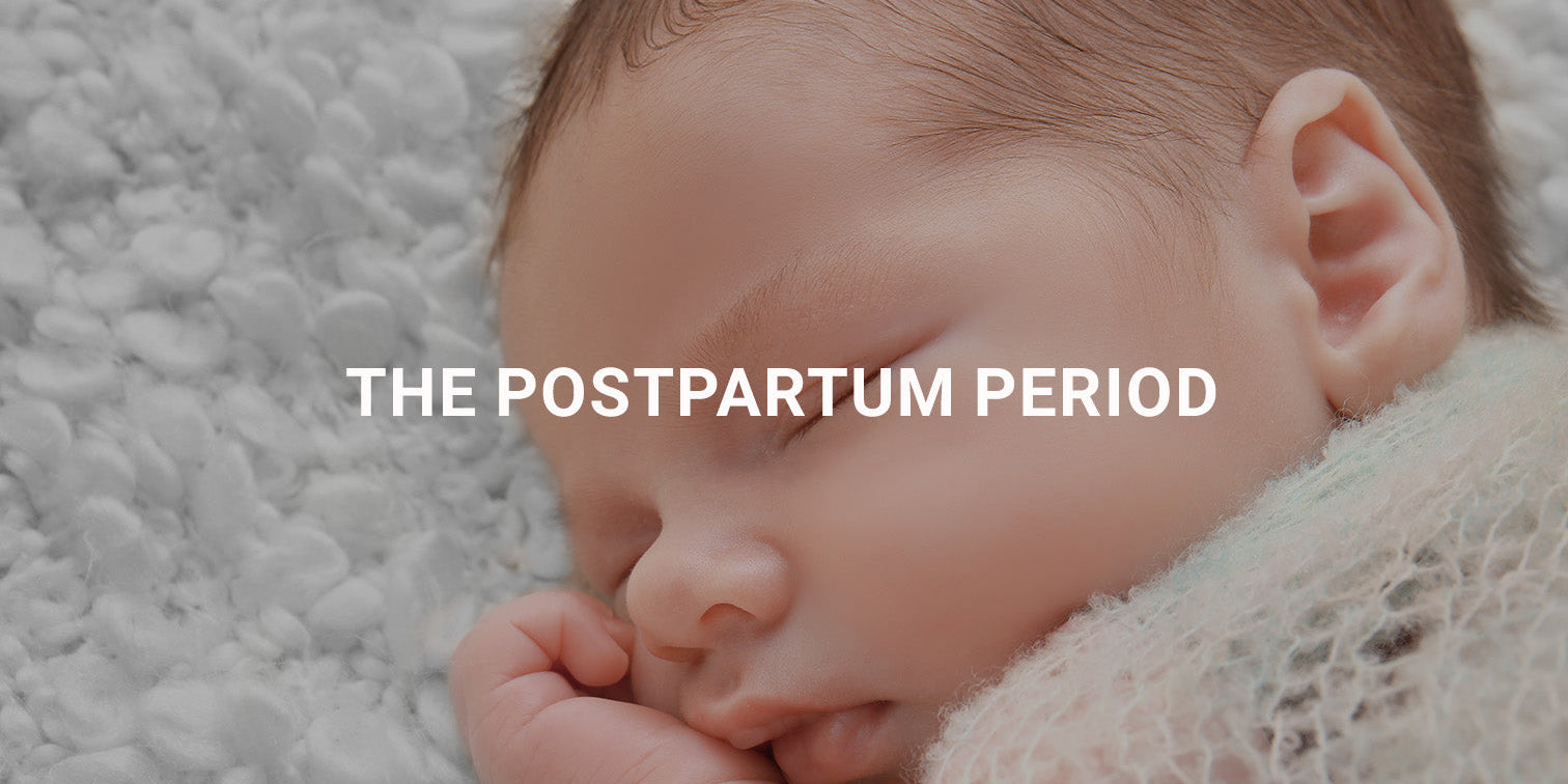 The Postpartum Period