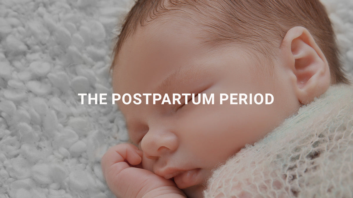 The Postpartum Period