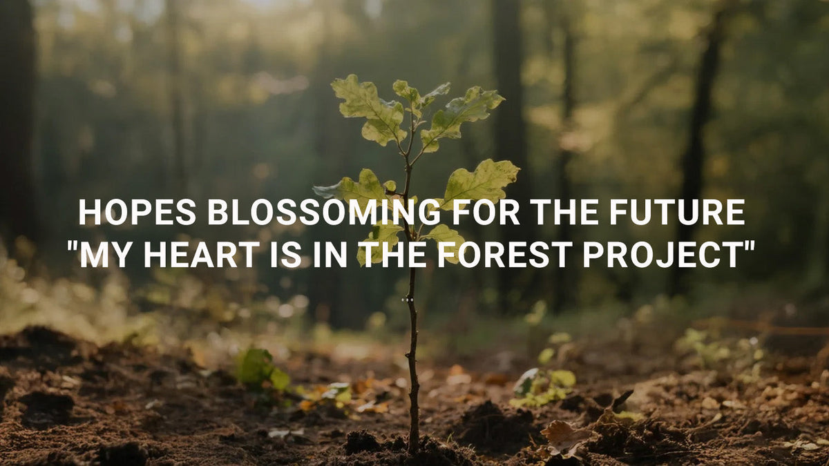 Hopes Blossoming for the Future – "My Heart Is in the Forest Project"