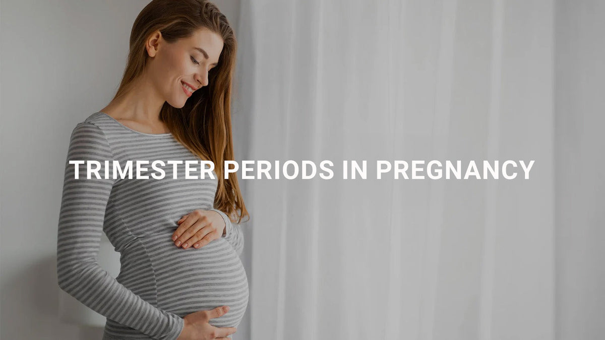 Trimester Periods in Pregnancy
