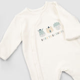 Organic Baby Sleepsuits - Long Sleeve Footed 2-Pack (Green) - Little Gusto