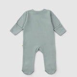 Organic Baby Sleepsuits - Long Sleeve Footed 2-Pack (Green) - Little Gusto
