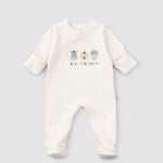 Organic Baby Sleepsuits - Long Sleeve Footed 2-Pack (Green) - Little Gusto