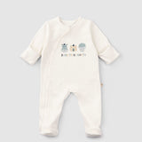 Organic Baby Sleepsuits - Long Sleeve Footed 2-Pack (Green) - Little Gusto